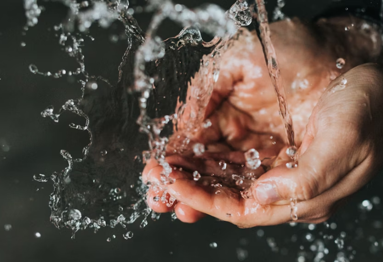 Corso HACCP di base o di aggiornamento per supermercati e GDO